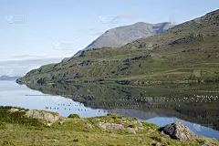 基拉里峡湾，琳娜，康尼马拉国家公园