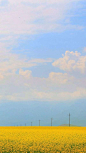 skyyyyyyyyyyy