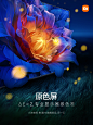 @小米电视 的个人主页 - 微博