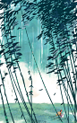 The Art Of Animation : Carolyn Gan