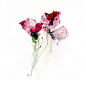 来自Annemiek Groenhout的一组令人心动的手绘花朵插画，一朵朵清新美丽的花朵，希望可以给你带来一些好心情！更加随意的笔触，简单勾勒出花朵的神韵，似乎花朵本身，充满着灵性和生机，一同分享给大家！