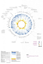 A Year in Diabetes Data - Front Full poster here: http://bit.ly/19Dq8Xb