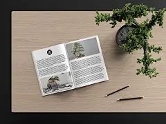 现代目录杂志样机现代|目录|杂志|样机