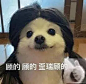 来尬上班有关的表情包