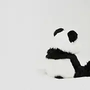 有一点小困