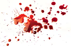 血迹素材 血腥恐怖 传的都快要吐了