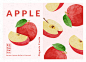 夏日手绘水果插图橙子蓝莓百香果柠檬香蕉包装海报背景矢量AI