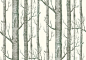 Woods by Cole & Son : Wallpaper Direct : Woods (Michael Clark 1959): A striking design sketched from trees and branches, making a unique repeat in an easy to use paste the wall wallcovering. Available in other colours. Please ask for sample for true c