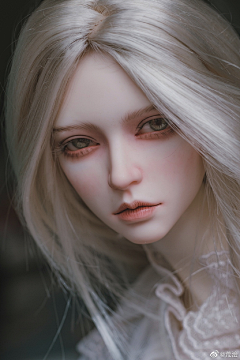 作肆zuosis采集到BJD