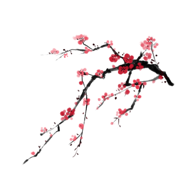 梅花1
