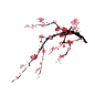 梅花1
