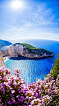 花香迷人～1983年走私船Panagiotis号、在运送香烟时失事搁浅于此，该地自此得名“沉船湾”。陡峭的悬崖、清澈的海水、蔚蓝的天空、洁白的沙滩，让这里成为希腊最热门的景点之一。——圣托里尼#希腊