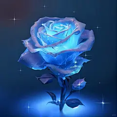 #碎冰蓝玫瑰 有一种玫瑰叫碎冰蓝玫瑰，它有一个很浪漫的花语：我送你的希望是星辰和大海。因为天空是蓝的，大海也是蓝的，我想你的时候是蓝色。蓝色的英文是：Blue,，而Blue=Because love you everyday，因为爱你的每一天。一定要分享给最爱的人哦…… #碎冰蓝玫瑰 #手机壁纸 - 小红书