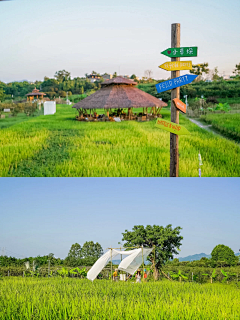 月亮数小羊采集到X——乡村景观