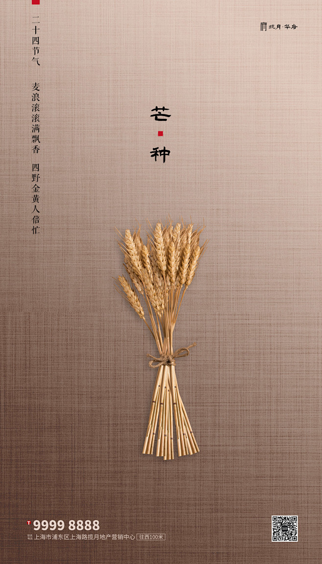 芒种创意简约海报