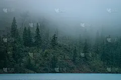 自然