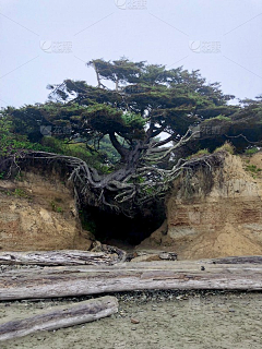 啥都想学的Hy采集到场景/地形