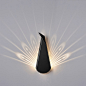 Black Aluminium Peacock LED light fixture