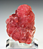 mineralia:

Rhodochrosite from South Africa
by Weinrich Minerals
