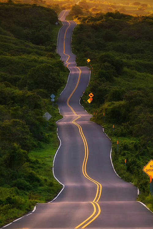 醉公路，毛伊岛，夏威夷