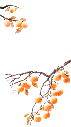 用户XBHRjGe0采集到花树