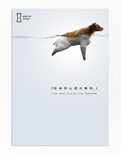 Assassin1257采集到Advertisement