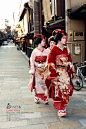 春的日本-京都街头的艺妓