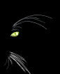 巫女的黑猫- 动物- 锐意设计网-设计师的网上家园