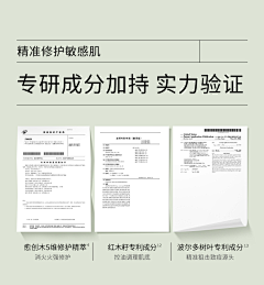 松·吹采集到文献、专利排版