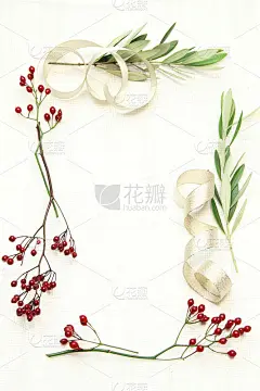 玫瑰果和橄榄果框架