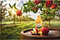 COUNTY CIDER on Behance