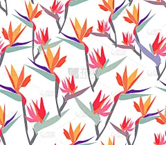 无缝图案与异国情调的花。手绘背景。花图案墙纸或织物。植物的瓷砖。