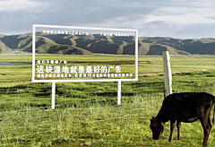 大珺采集到B氛围：鲜花路引