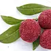 wexberry