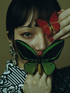 克隆猪7采集到美少