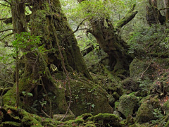 T的3次方采集到风景