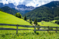 Alpen Landscape - Green field Blue Sky - Spring meadow and Fence