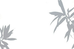 一只闪电_采集到素材-环境光