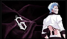 BLEACH-reference-花瓣网|陪你做生活的设计师 | 死神虚无十刃GIF美图