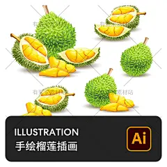 手绘植物食物热带水果榴莲黄金果肉果块装饰插画AI矢量设计素材-淘宝网