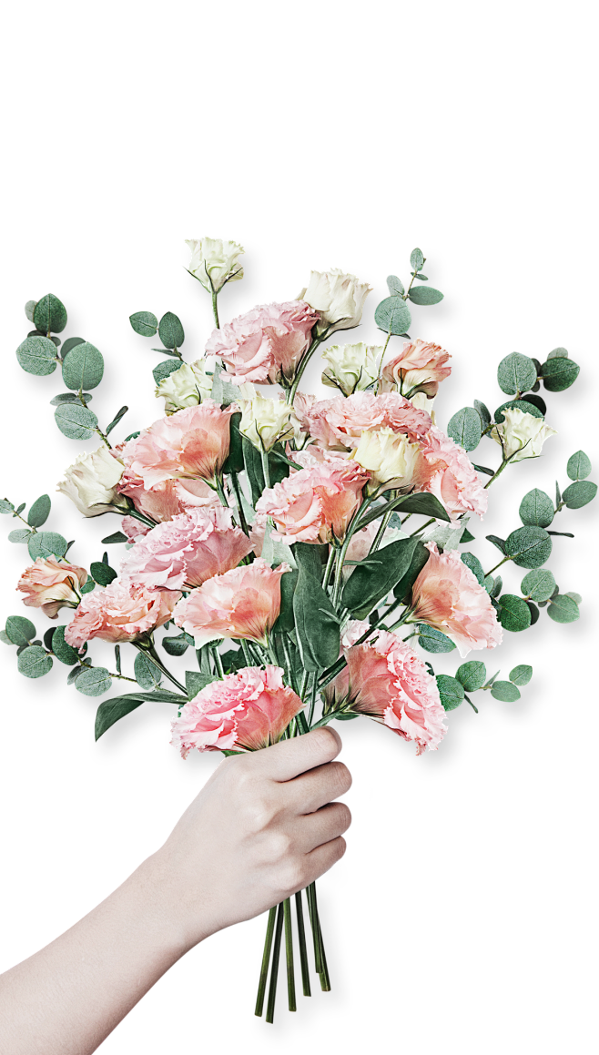 手捧花 手 png
