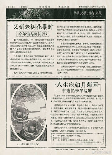 @野火流明 的个人主页 - 微博