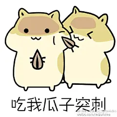 松鼠瓜子表情包 HD版 v1.0 DHR動研字幕組出品，PNG 800x800，共15个表情，打包下载链接：O网页链接