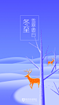 1080x1920-冬至（手机壁纸） ui _app 