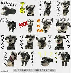 @飞天胖虎 line贴图表情包贴纸[编号3569931]Hello Choko  [Hello Choko] is a very useful Sticker that collects honorific worb