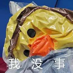 堆糖转载 鸽子表情包