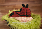 Crochet Pattern No.5  Ladybug - Cuddle Critter Cape Set  - Newborn Photography Prop