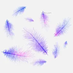 水彩蓝色渐变羽毛漂浮设计元素背景底纹图片大小2000x2000px 图片尺寸4.85 MB 来自PNG搜索网 pngss.com 免费免扣png素材下载！阿酷#背景#底纹#粉色#渐变#看群#蓝色#漂浮#漂浮素材#热销#设计#水彩#私聊#
