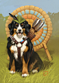 General 1240x1748 Alexandra GaudiBuendia Khitrova dog archer arrows targets grass animals Bernese Mountain Dog