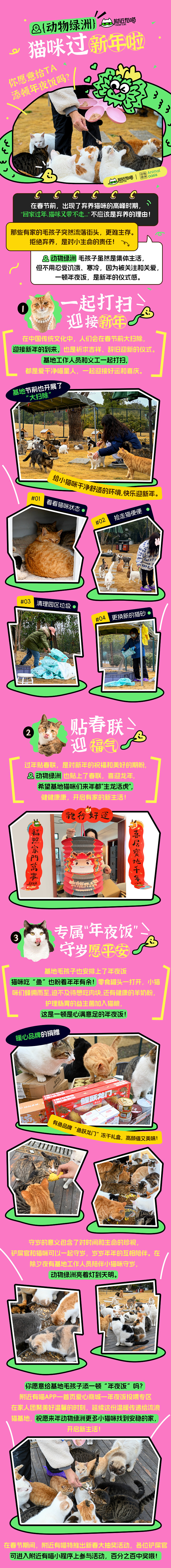 猫咪新年公众号全